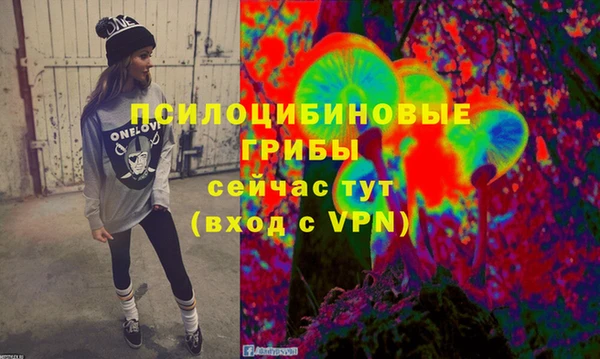 круглые Аркадак