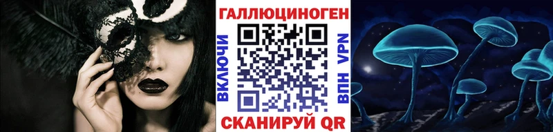 где можно купить Благодарный Псилоцибиновые грибы мицелий