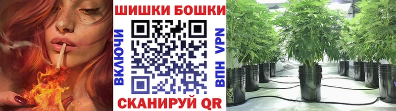 hydra как войти Благодарный Марихуана индика